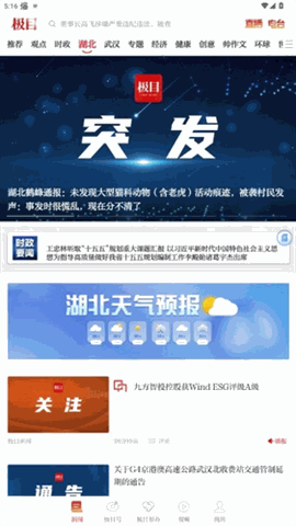 极目新闻2026官方手机版免费下载