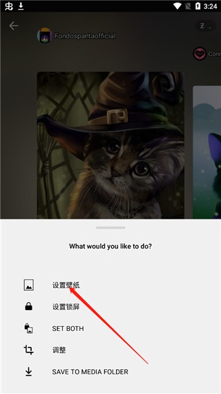 zedge壁纸美化软件