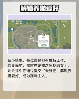心动小镇怎么养猫