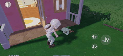 心动小镇怎么养猫