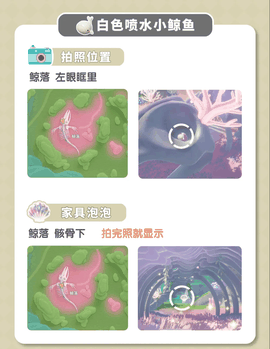 心动小镇小鲸鱼位置 心动小镇的鲸鱼在哪里 心动小镇小鲸鱼攻略详细图解最新章