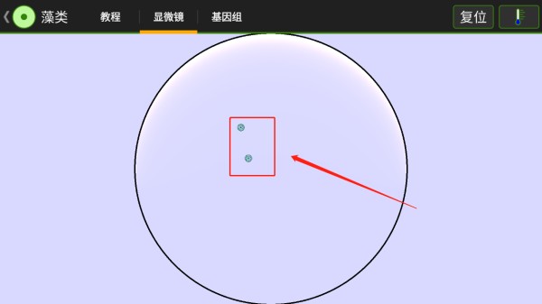 细胞实验室v103汉化