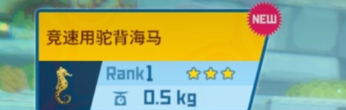 潜水员戴夫安卓完整版下载最新版