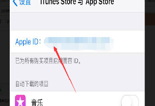 apple store最新版app下载安卓版